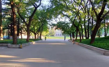 四川企业人力资源管理师培训学校排名