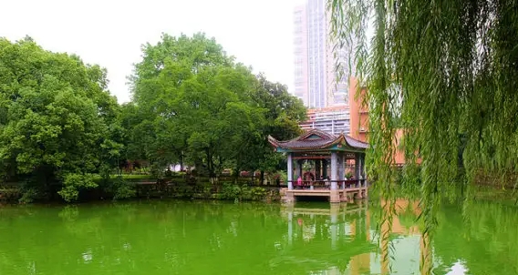 遂宁企业人力资源管理师培训学校哪家好