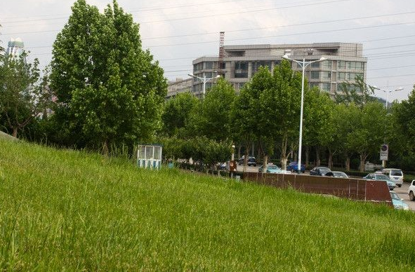 南充企业人力资源管理师证报名入口