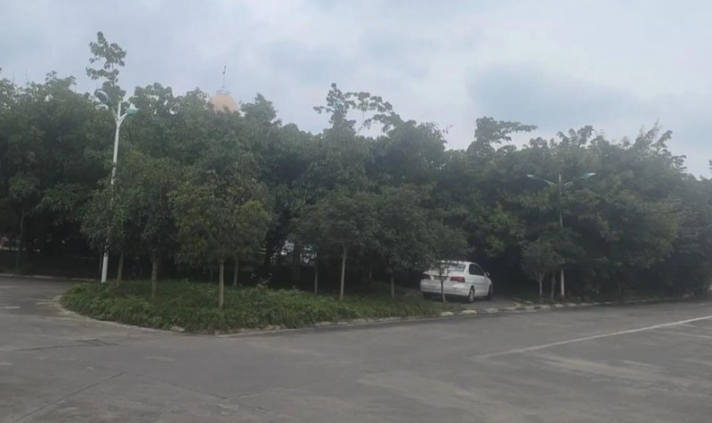 德阳汽车职业培训哪家好