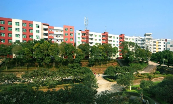 遂宁汽车职业培训哪家好