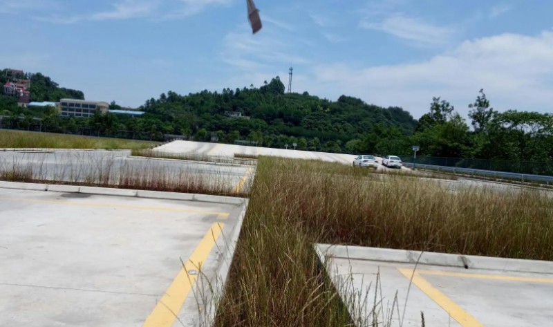 乐山汽车培训基地哪家好