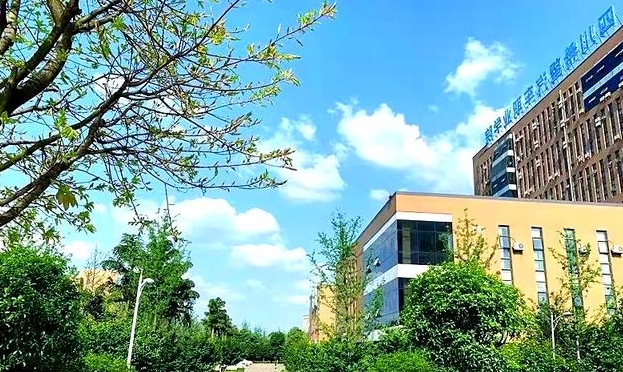 资阳汽车培训学校在哪里