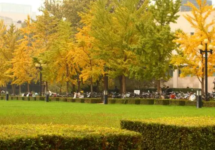 德阳消防员培训多少钱