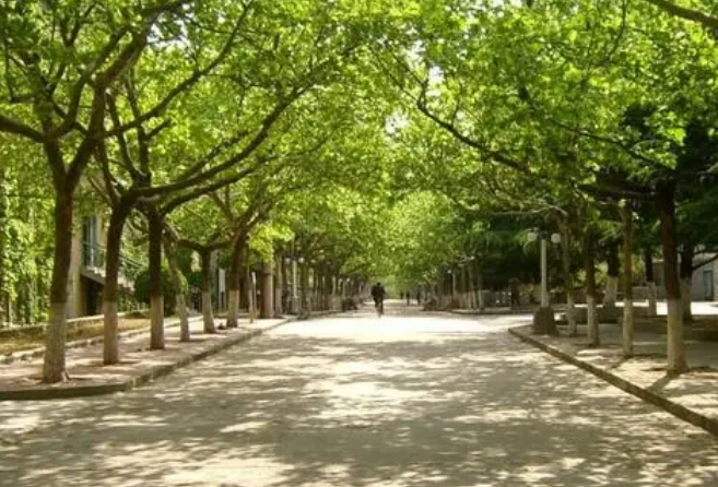 宜宾消防员培训机构哪家好